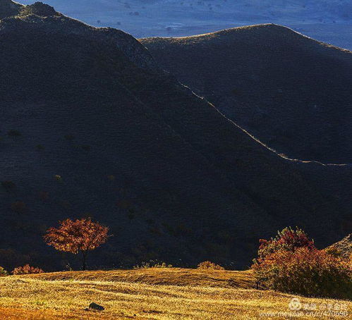 光阴深处,岁月静好