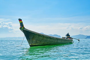 探索菲律宾航空，旅程的起落与品质承诺