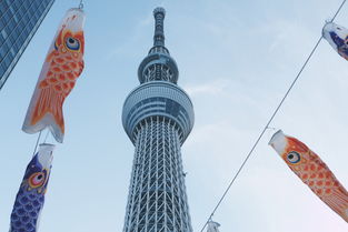 穿越城市脉动，北京南站至北京站的时空对话